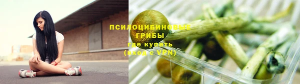 молекула духа Алексин