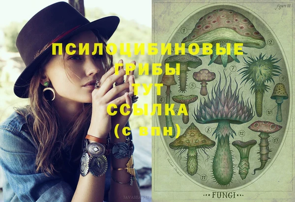 молекула духа Алексин