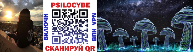 hydra tor  Луза  Галлюциногенные грибы Psilocybe 